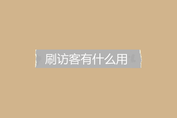 刷訪客有什么用